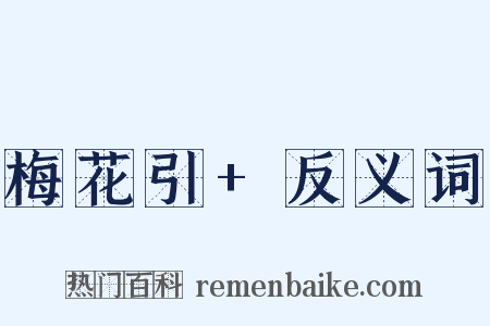 梅花引+反义词是什么意思的图片